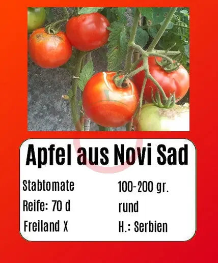 Apfel aus Novi Sad DER TOMATENFLÜSTERER