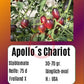 Apollo´s Chariot DER TOMATENFLÜSTERER