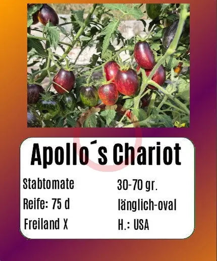 Apollo´s Chariot DER TOMATENFLÜSTERER