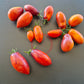 Apollo´s Chariot DER TOMATENFLÜSTERER