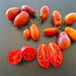 Apollo´s Chariot DER TOMATENFLÜSTERER