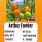 Arthur Fowler DER TOMATENFLÜSTERER