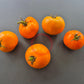 Arthur Fowler DER TOMATENFLÜSTERER