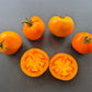 Arthur Fowler DER TOMATENFLÜSTERER
