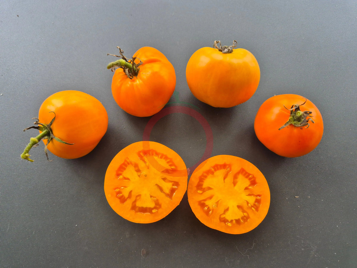 Arthur Fowler DER TOMATENFLÜSTERER