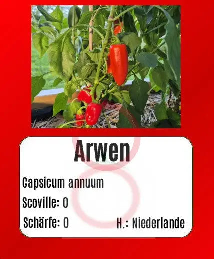 Arwen DER TOMATENFLÜSTERER