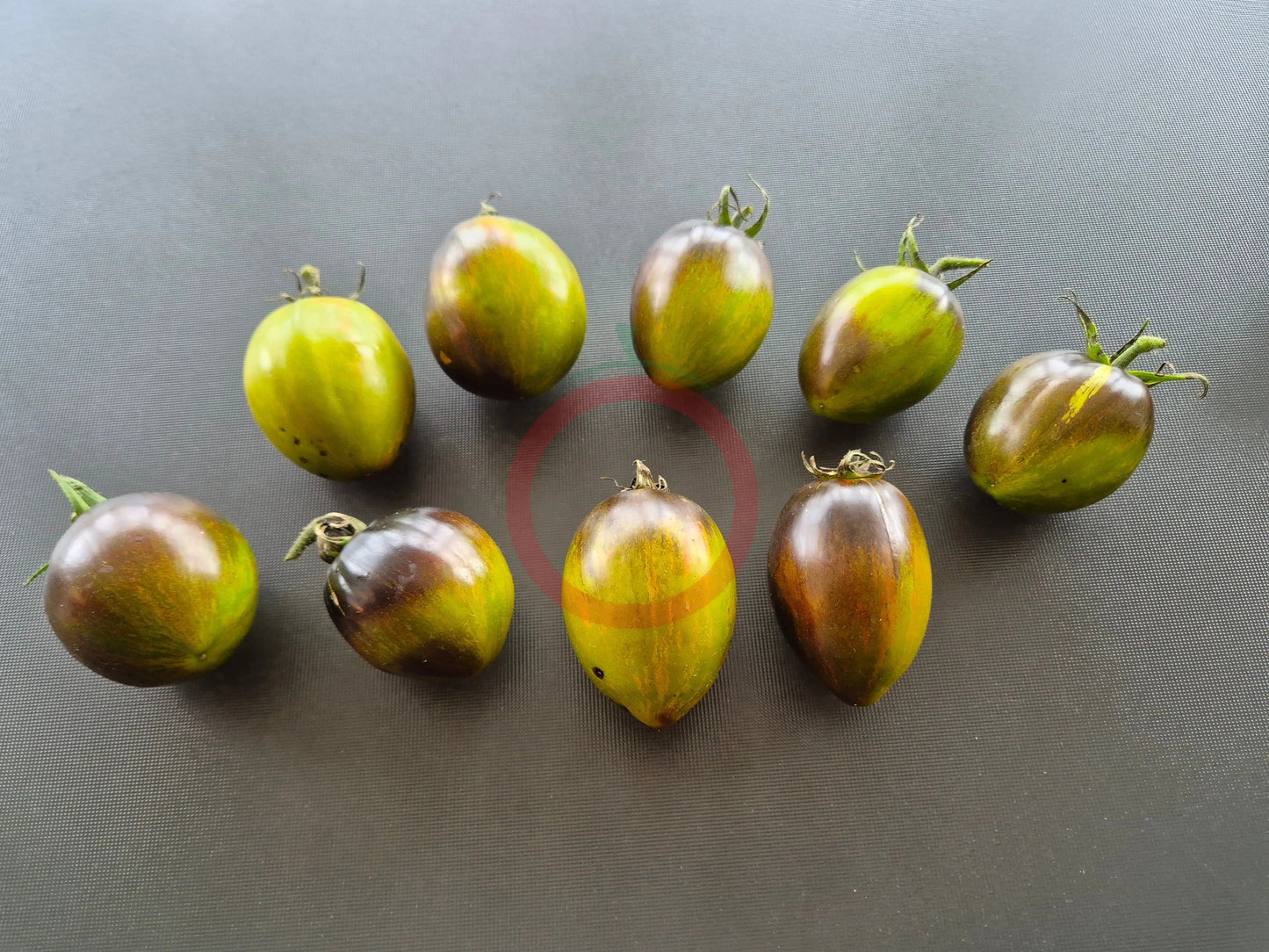 Atomic Fusion DER TOMATENFLÜSTERER