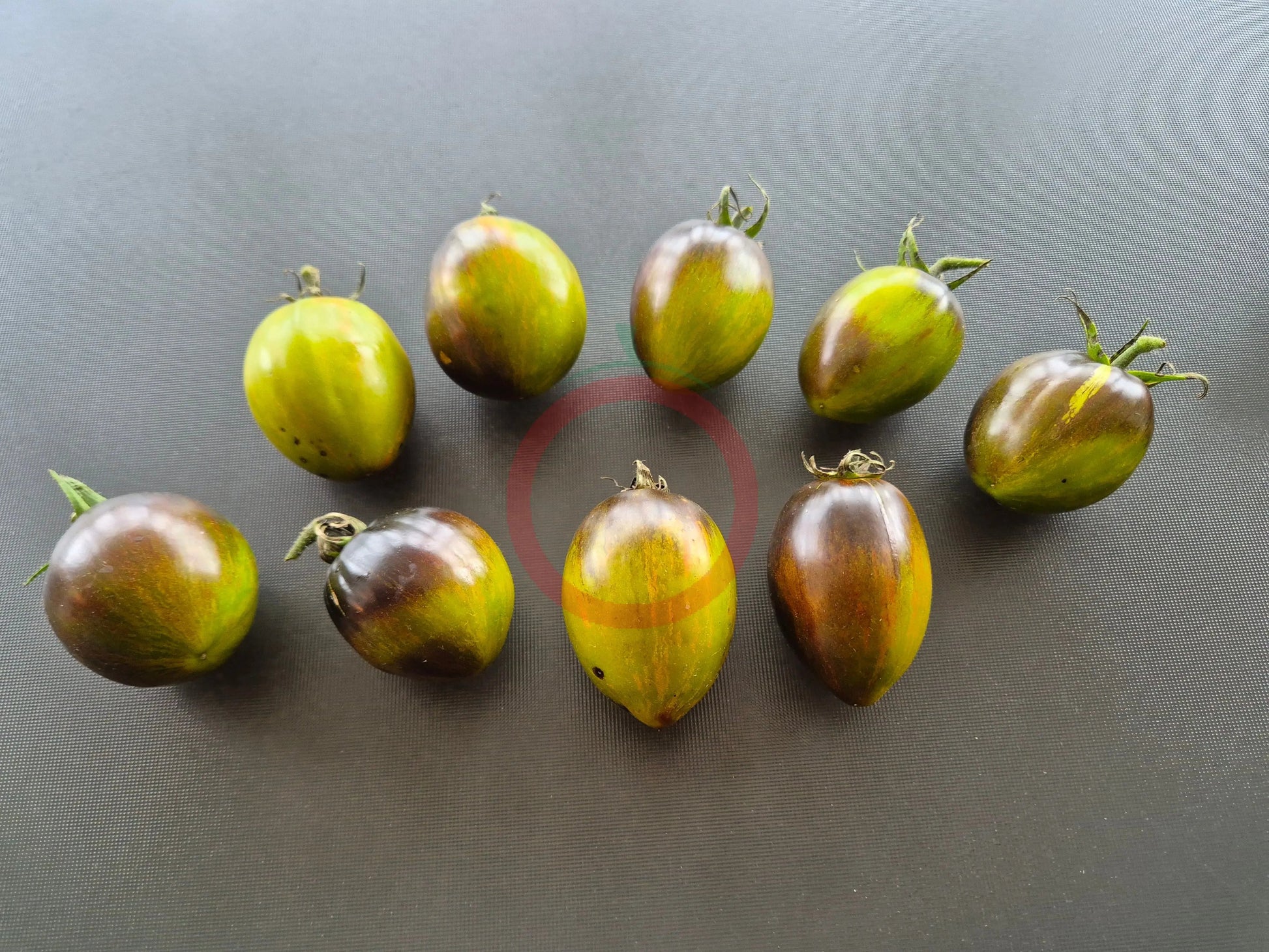 Atomic Fusion DER TOMATENFLÜSTERER