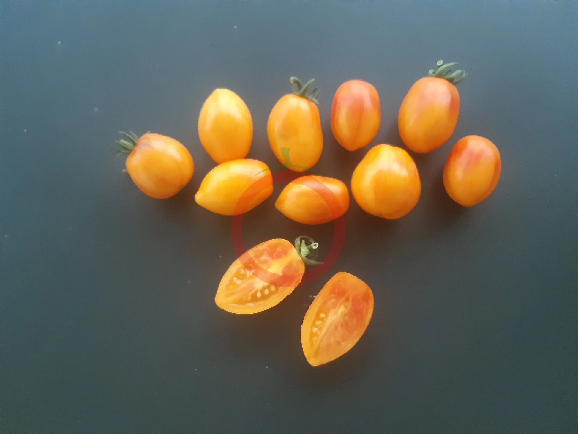 Atomic Sunset DER TOMATENFLÜSTERER