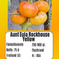 Aunt Eula Rockhouse Yellow DER TOMATENFLÜSTERER