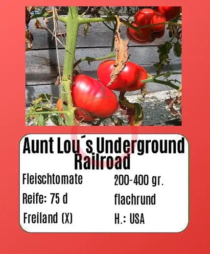 Aunt Lou’s Underground Railroad DER TOMATENFLÜSTERER