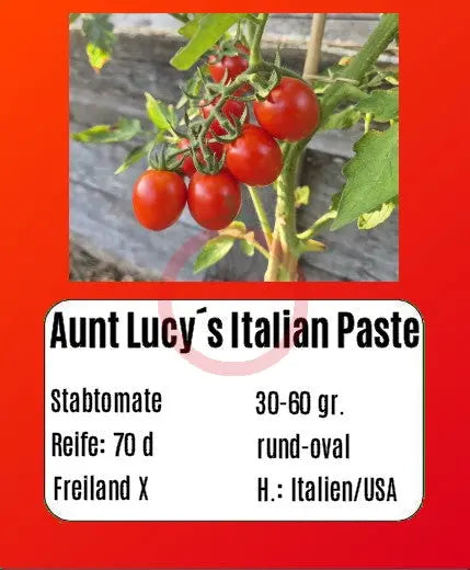 Aunt Lucy´s Italian Paste DER TOMATENFLÜSTERER