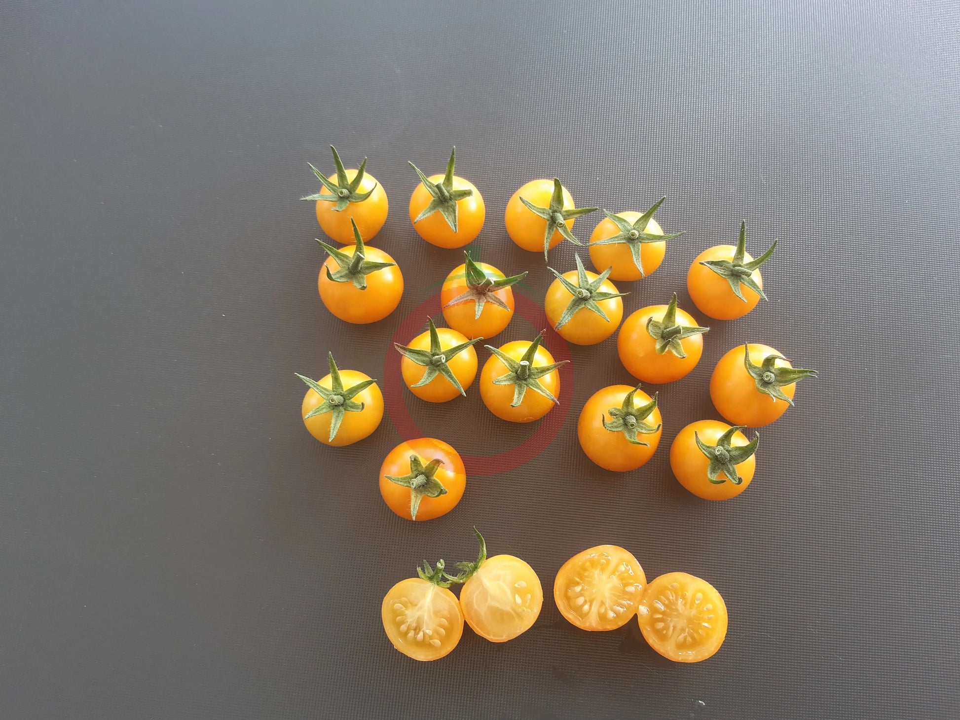 Aunt Ruby´s Yellow Cherry DER TOMATENFLÜSTERER