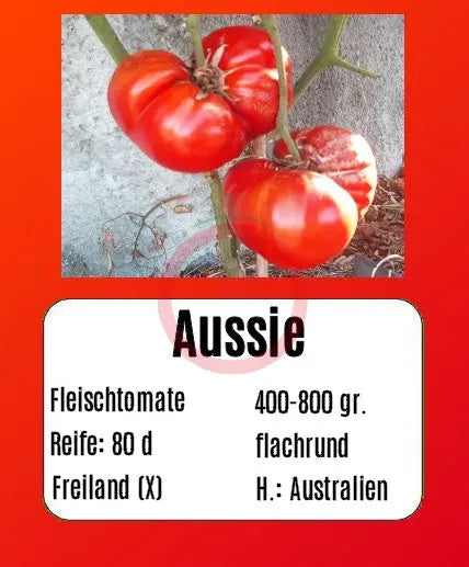 Aussie DER TOMATENFLÜSTERER