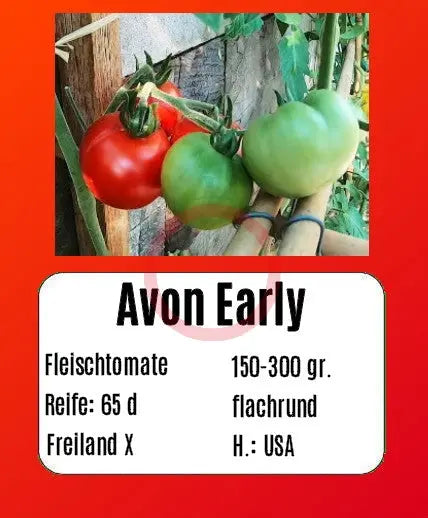 Avon Early DER TOMATENFLÜSTERER