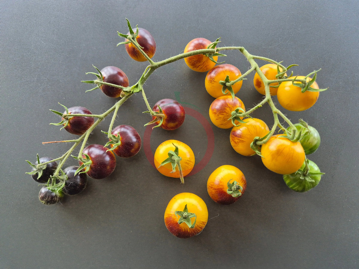 Awesome Emma DER TOMATENFLÜSTERER