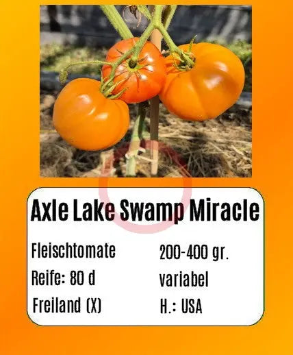 Axle Lake Swamp Miracle DER TOMATENFLÜSTERER