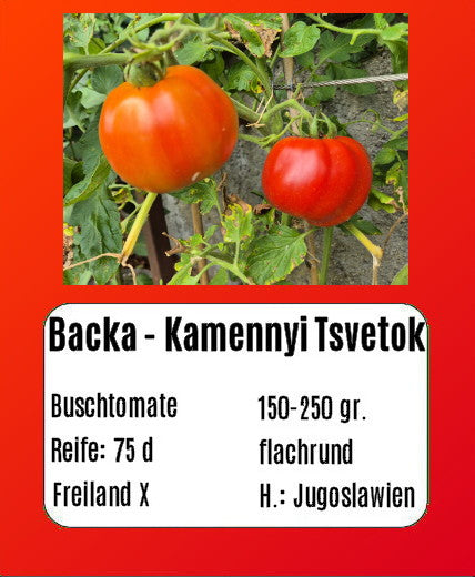 Bačka - Kamennyi Tsvetok DER TOMATENFLÜSTERER