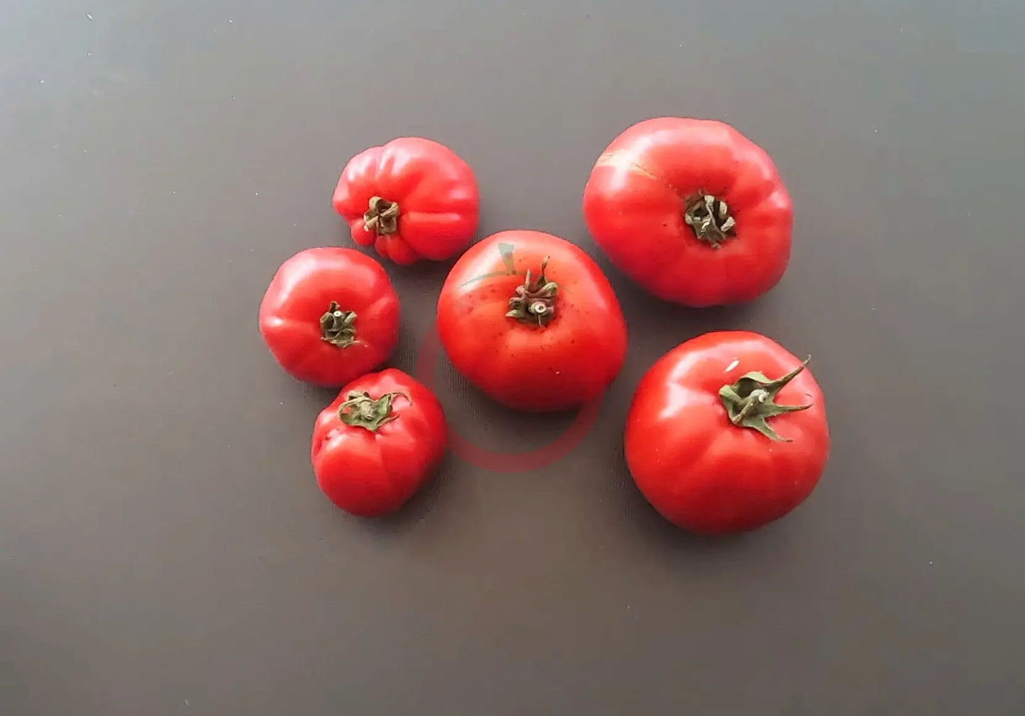 Bačka - Kamennyi Tsvetok DER TOMATENFLÜSTERER