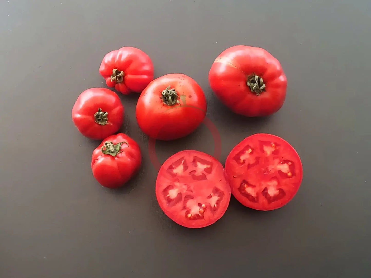 Bačka - Kamennyi Tsvetok DER TOMATENFLÜSTERER
