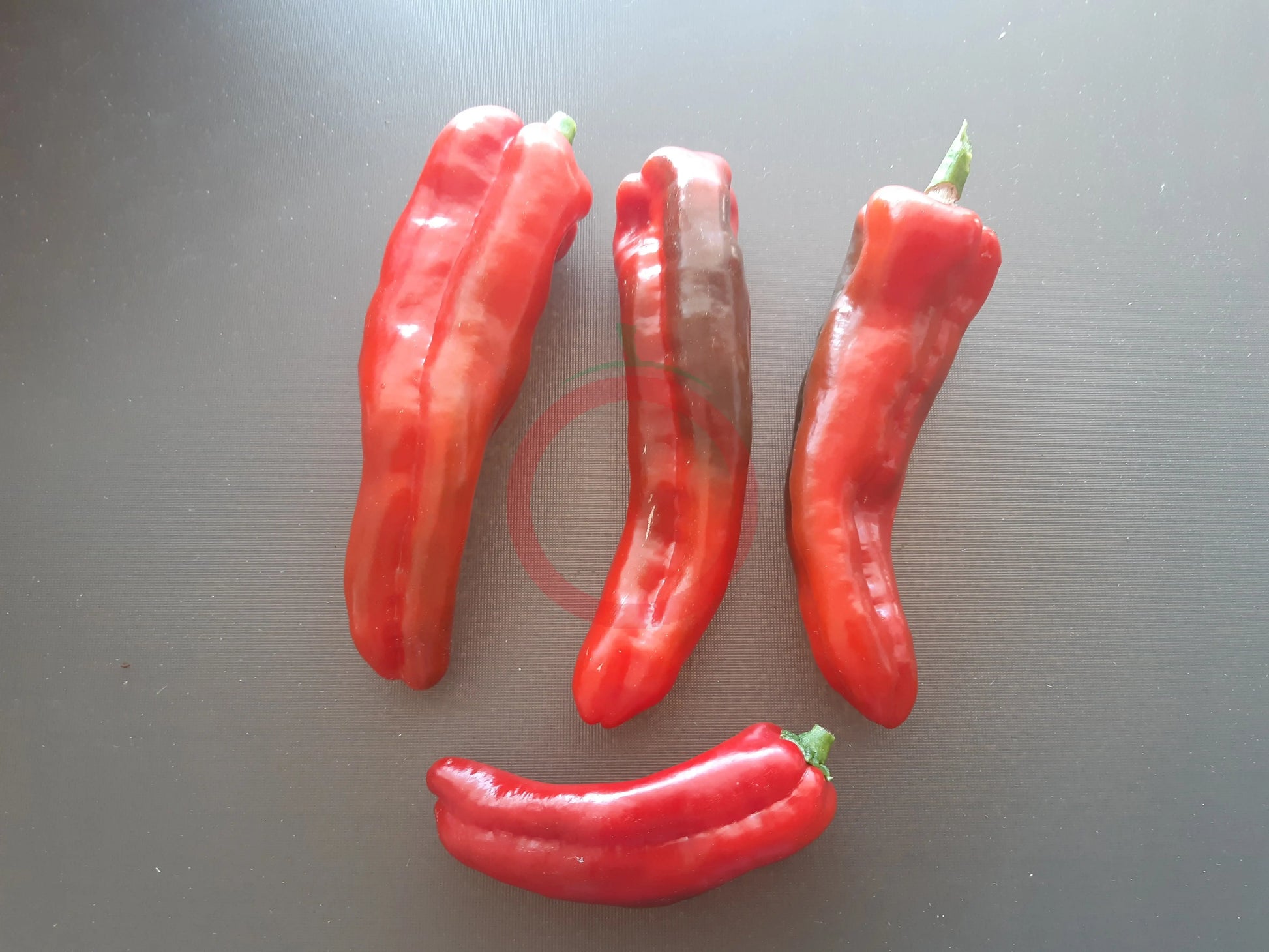 Bananovyy Desert DER TOMATENFLÜSTERER