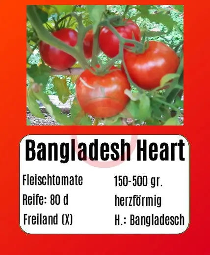 Bangladesh Heart DER TOMATENFLÜSTERER