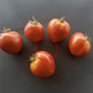 Bangladesh Heart DER TOMATENFLÜSTERER