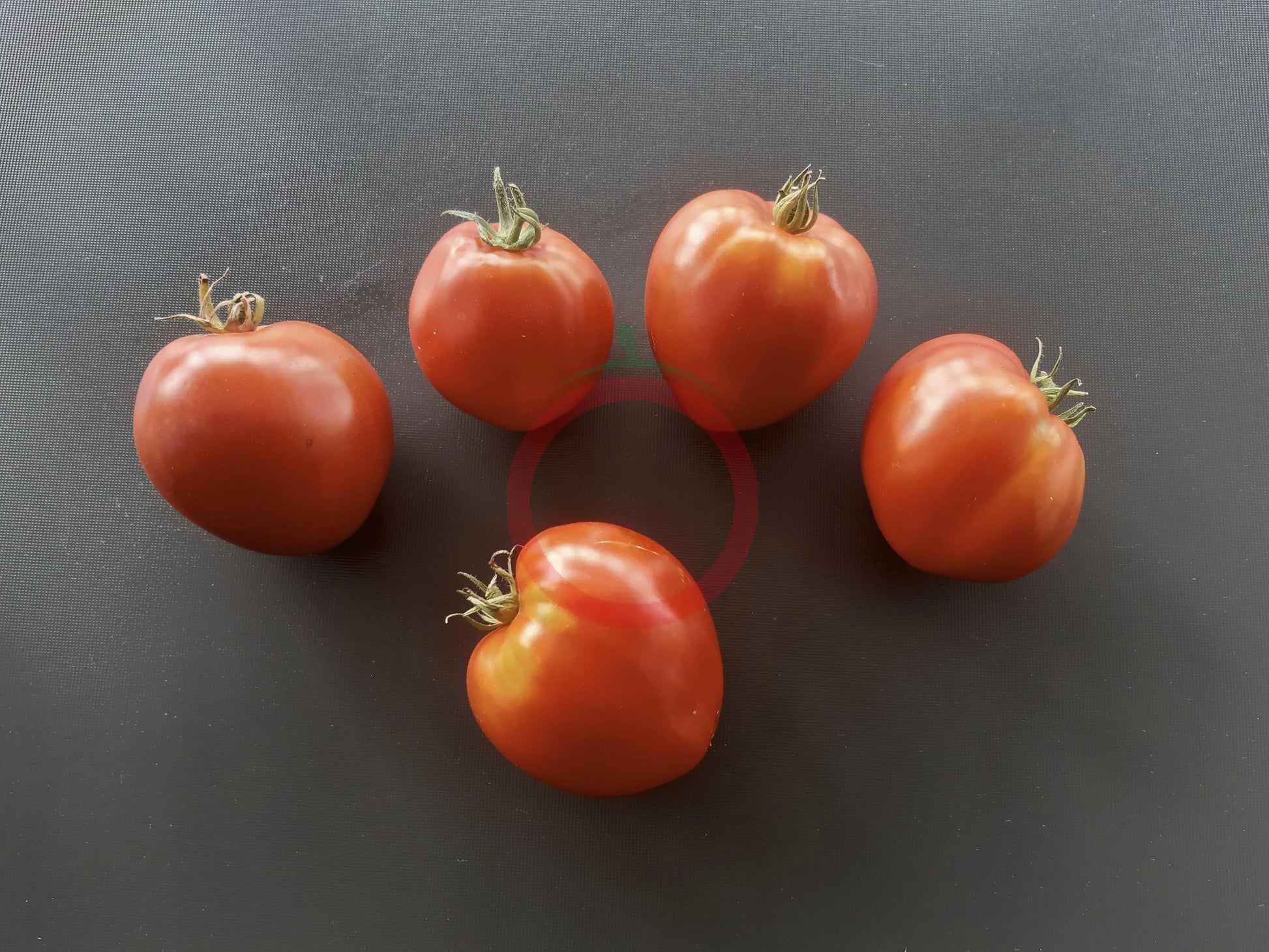 Bangladesh Heart DER TOMATENFLÜSTERER