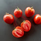 Bangladesh Heart DER TOMATENFLÜSTERER