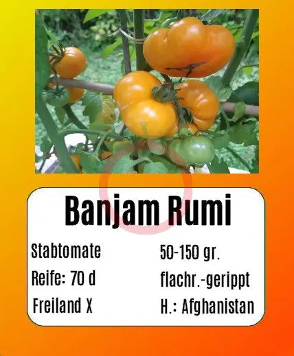 Banjam Rumi DER TOMATENFLÜSTERER