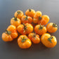Banjam Rumi DER TOMATENFLÜSTERER
