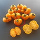 Banjam Rumi DER TOMATENFLÜSTERER