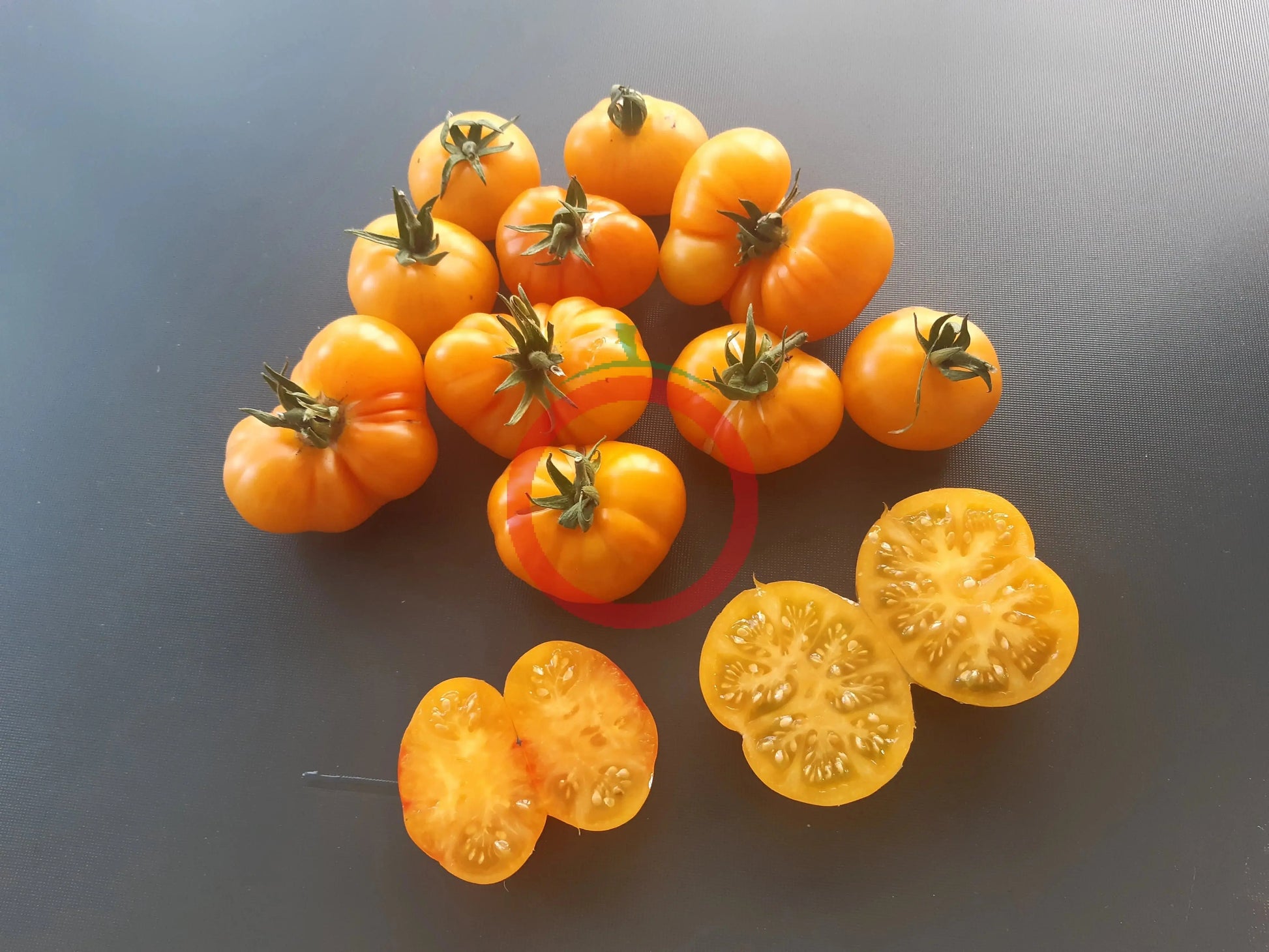 Banjam Rumi DER TOMATENFLÜSTERER