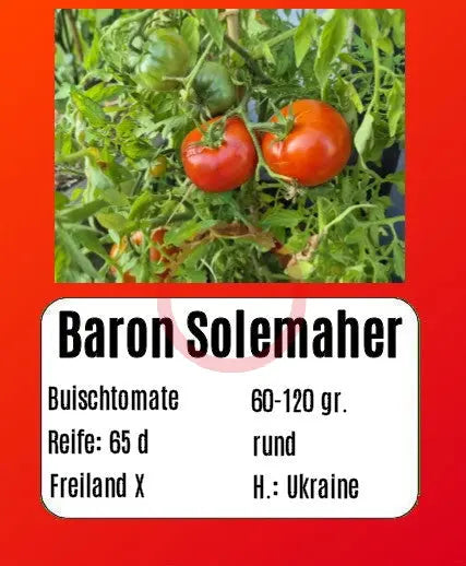 Baron Solemaher DER TOMATENFLÜSTERER