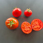 Baron Solemaher DER TOMATENFLÜSTERER