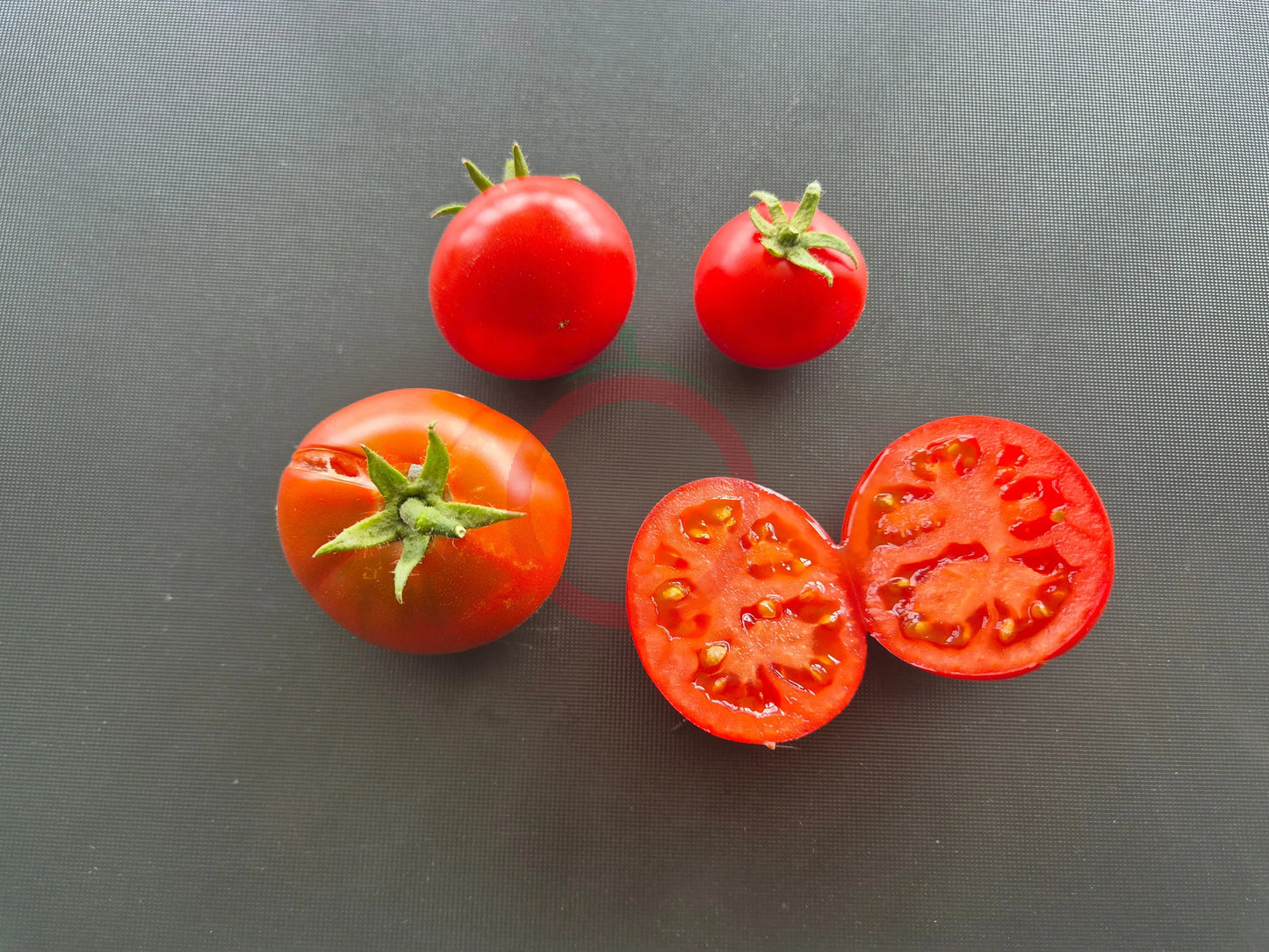 Baron Solemaher DER TOMATENFLÜSTERER