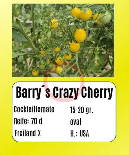 Barry's Crazy Cherry DER TOMATENFLÜSTERER