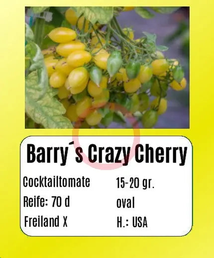 Barry's Crazy Cherry DER TOMATENFLÜSTERER