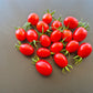 Baselbieter Röteli DER TOMATENFLÜSTERER