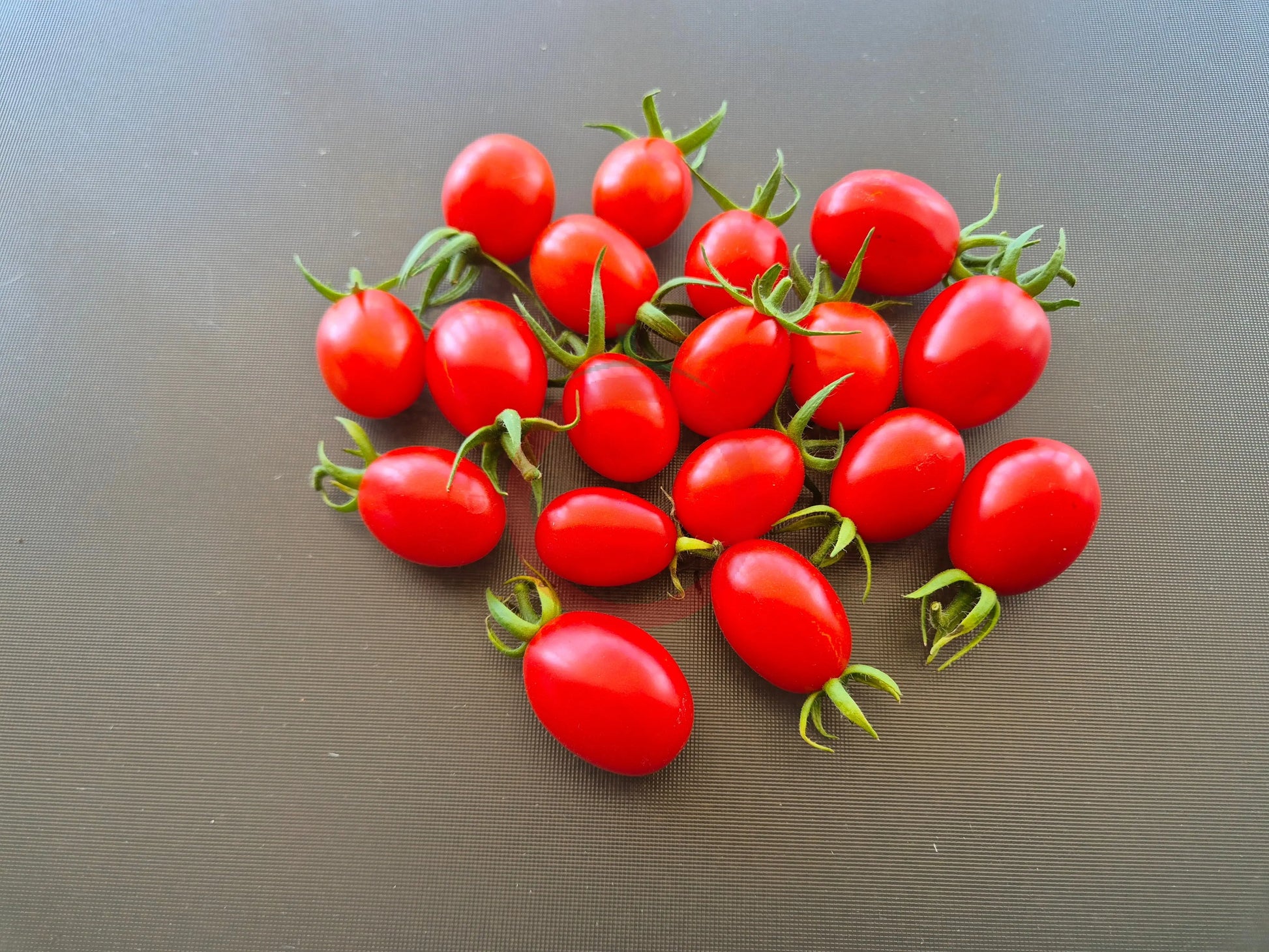 Baselbieter Röteli DER TOMATENFLÜSTERER