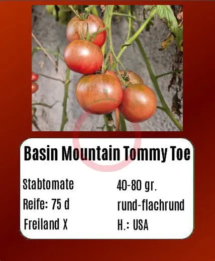 Basin Mountain Tommy Toe DER TOMATENFLÜSTERER
