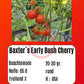 Baxter´s Early Bush Cherry DER TOMATENFLÜSTERER