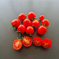 Baxter´s Early Bush Cherry DER TOMATENFLÜSTERER