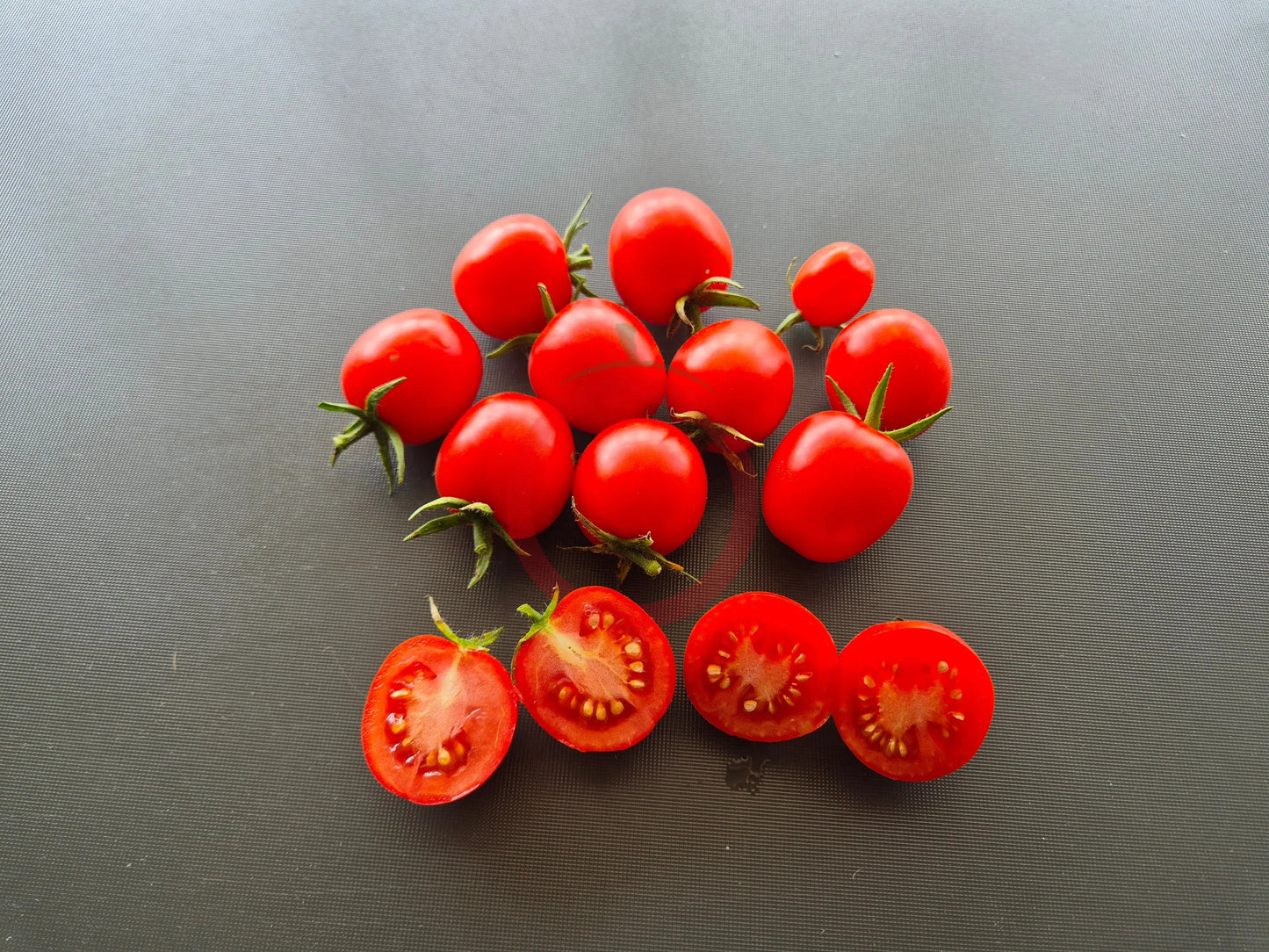 Baxter´s Early Bush Cherry DER TOMATENFLÜSTERER