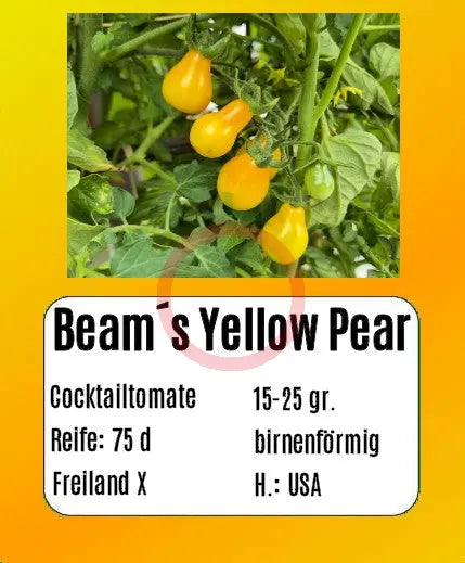 Beam´s Yellow Pear DER TOMATENFLÜSTERER