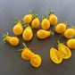 Beam´s Yellow Pear DER TOMATENFLÜSTERER