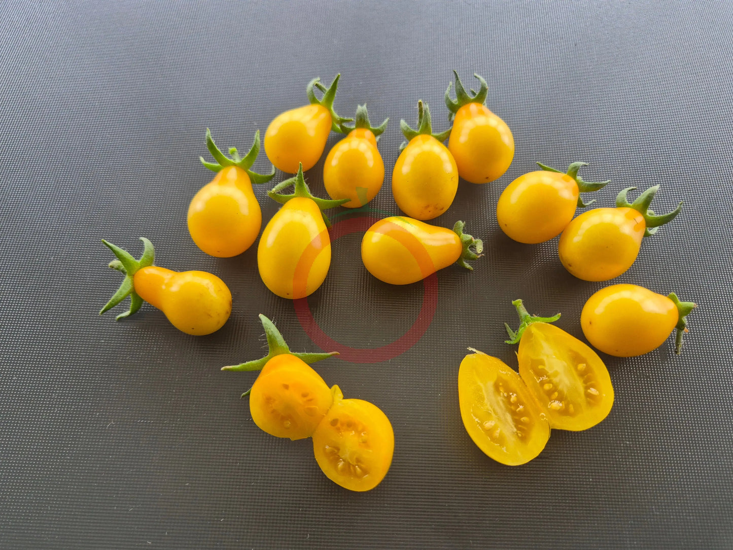 Beam´s Yellow Pear DER TOMATENFLÜSTERER
