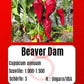 Beaver Dam DER TOMATENFLÜSTERER