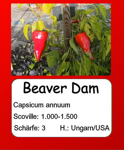 Beaver Dam DER TOMATENFLÜSTERER