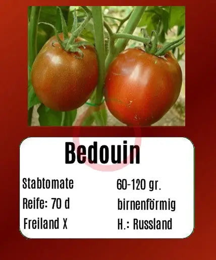 Bedouin DER TOMATENFLÜSTERER